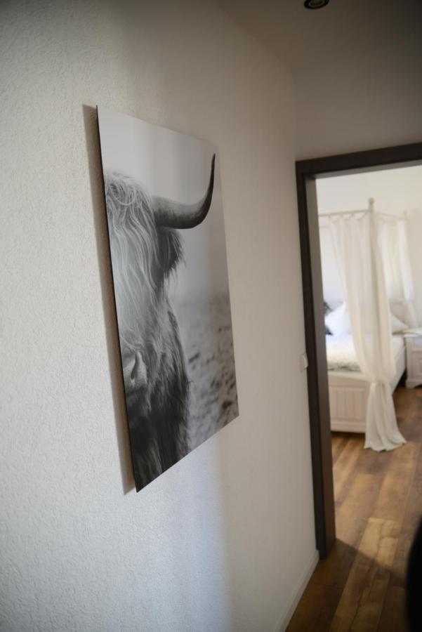 Ferienwohnung Die Alte Schule Daun Buitenkant foto