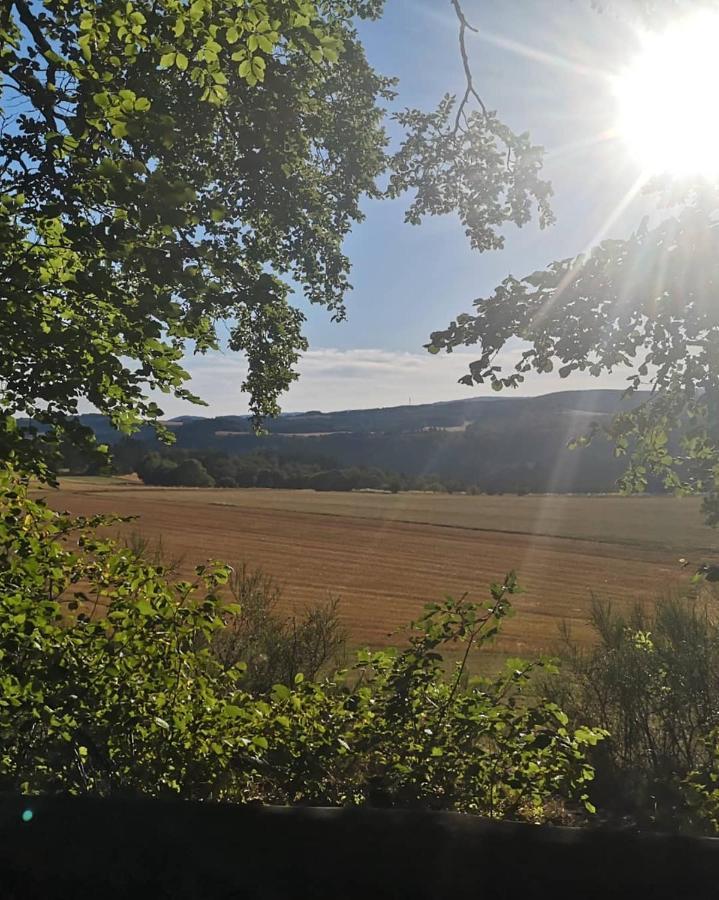 Ferienwohnung Die Alte Schule Daun Buitenkant foto
